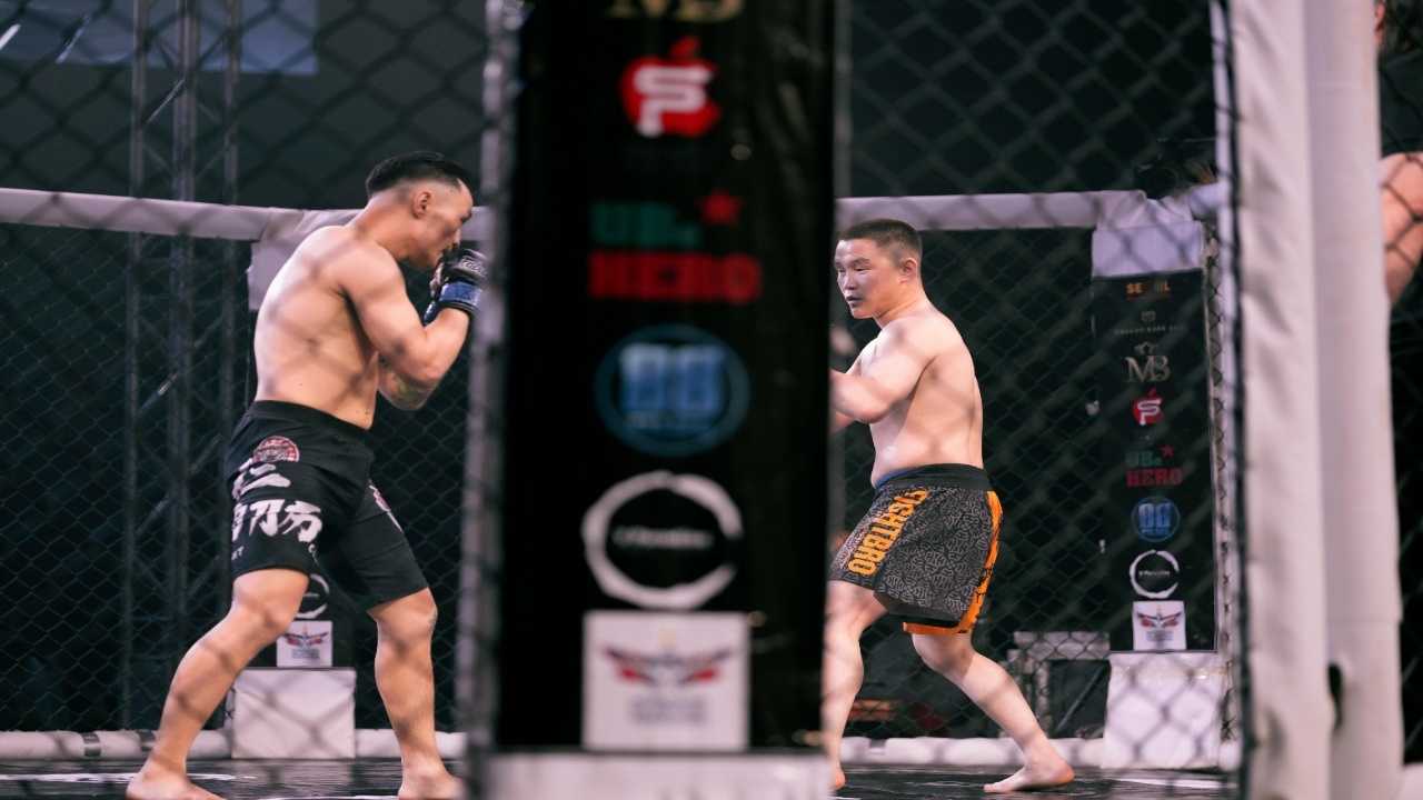 Best Knockouts in UFC History
